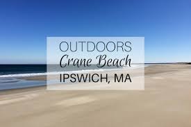 Image result for Ipswich Sc