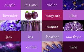 Image result for violet