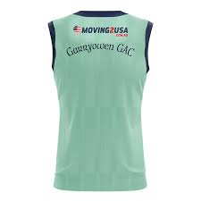 Image result for Garryowen Gfc