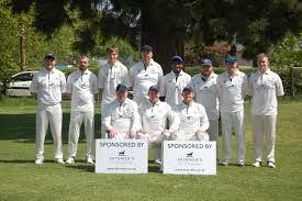 Image result for Yoxford Cricket Club