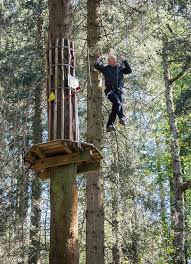 Image result for Go Ape! Grizedale