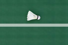 Image result for Wareham and Purbeck Badminton Club