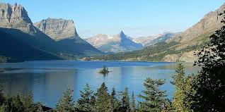 Image result for Clyde Valley Predators