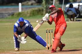 Image result for Bere Regis Cricket Club