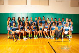 Image result for Medway Panthers Netball Club