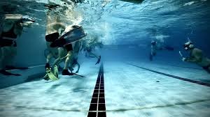 Image result for Plymouth Underwater Hockey Club