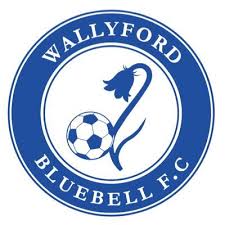 Image result for Wallyford Miners` Welfare Bowling Club