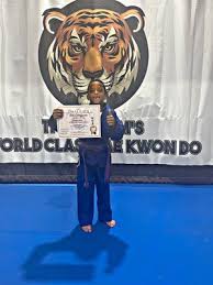 Image result for Kidderminster Tae Kwon Do Tigers