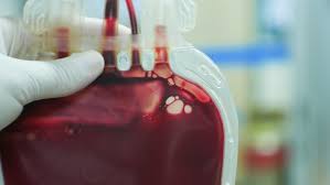 Image result for blood