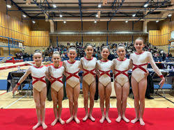 Image result for City Of Liverpool Gymnastics Club