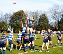 Image result for Thanet Wanderers Rufc