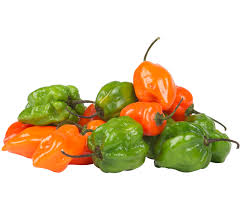 Afbeeldingsresultaat voor aji dulce sweet pepper