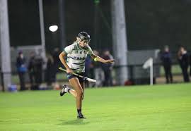 Image result for University Of Limerick Gaa Hurling Club