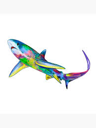 Image result for Alopias vulpinus