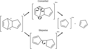 Image result for Alder Cc