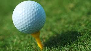 Image result for The Moors Golf & Lodging