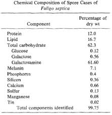 Attēlu rezultāti vaicājumam “Fuligo laevis spores”