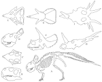 File:Ceratops.gif - Wikipedia, the free encyclopedia
