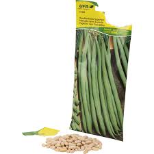 Image result for Buschbohnen