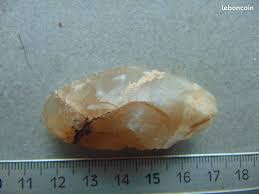 Image result for feuille-laurier-silex