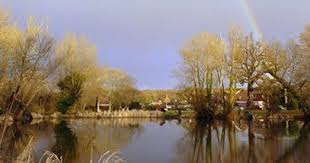Image result for Leatherhead & District Angling Society