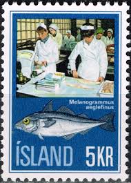 Image result for Melanogrammus aeglefinus