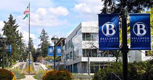 Image result for Bellevue