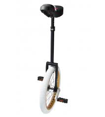 Image result for Southampton Unicycle Hockey