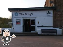 Image result for Southampton Stags