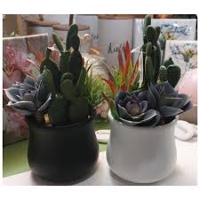 Image result for Mehikasvi