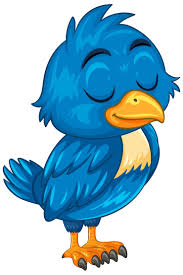 Image result for Bird