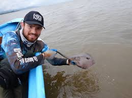 Image result for Styracura pacifica