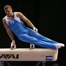 Image result for Thornton Sport Gymnastics