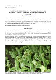 Attēlu rezultāti vaicājumam “Marchantiopsida”