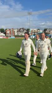 Image result for Three Bridges Cricket Club