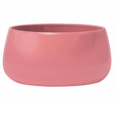 Image result for bacía