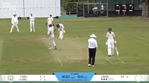 Image result for West Chiltington & Thakeham Cc