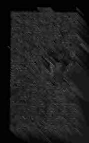 Attēlu rezultāti vaicājumam “Diderma testaceum sessile”