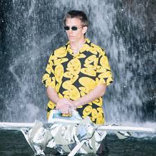 Image result for extreme ironing