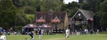 Image result for Ewhurst Cricket Club