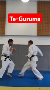 Image result for Tae-jitsu