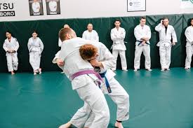 Image result for Yeo Dojo Also Teaching Gracie Jujutsu