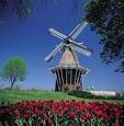 Holland, Michigan - Andrea Crossman Group Realty