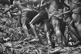 Image result for sebastiao salgado