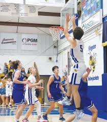 Image result for Kingston Wildcats Basketball Club