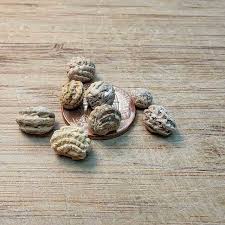 Attēlu rezultāti vaicājumam “Tropaeolum majus fruit”