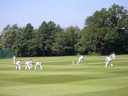 Image result for Wollaston Cricket Club