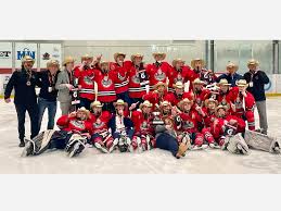 Image result for Stratford-Upon-Avon Hockey Club