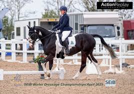 Image result for Abinger Forest Riding Club