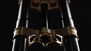 Image result for selvatici tehron